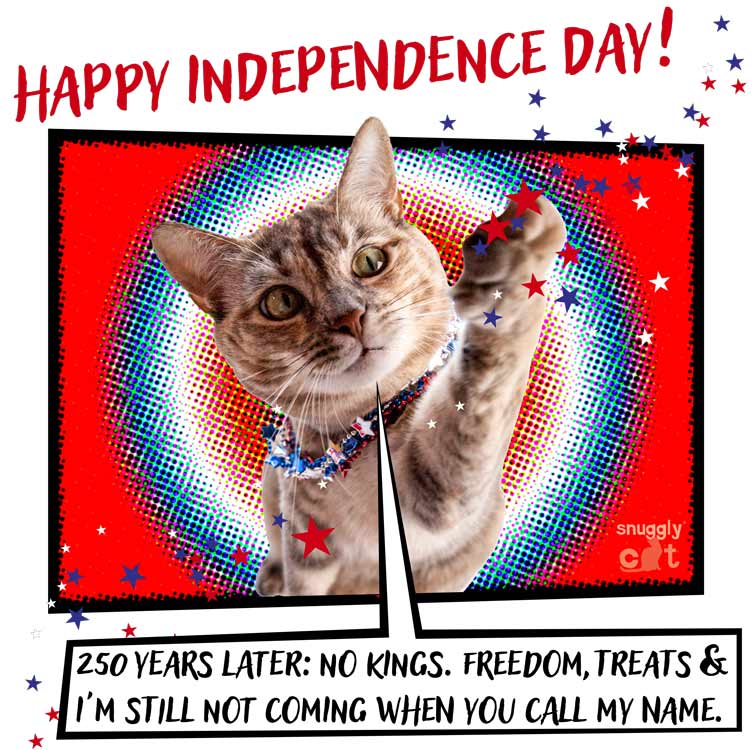 Title: Happy Independence Day! Yoda the Cat high-fives and stretches out her paw to reach the floating red, white and blue stars. Comic book style graphic. Speech Bubble reads: 250 years later: No kings. Freedom, Treats & I'm still not coming when you call my name.